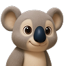 Koala Feedback Starter